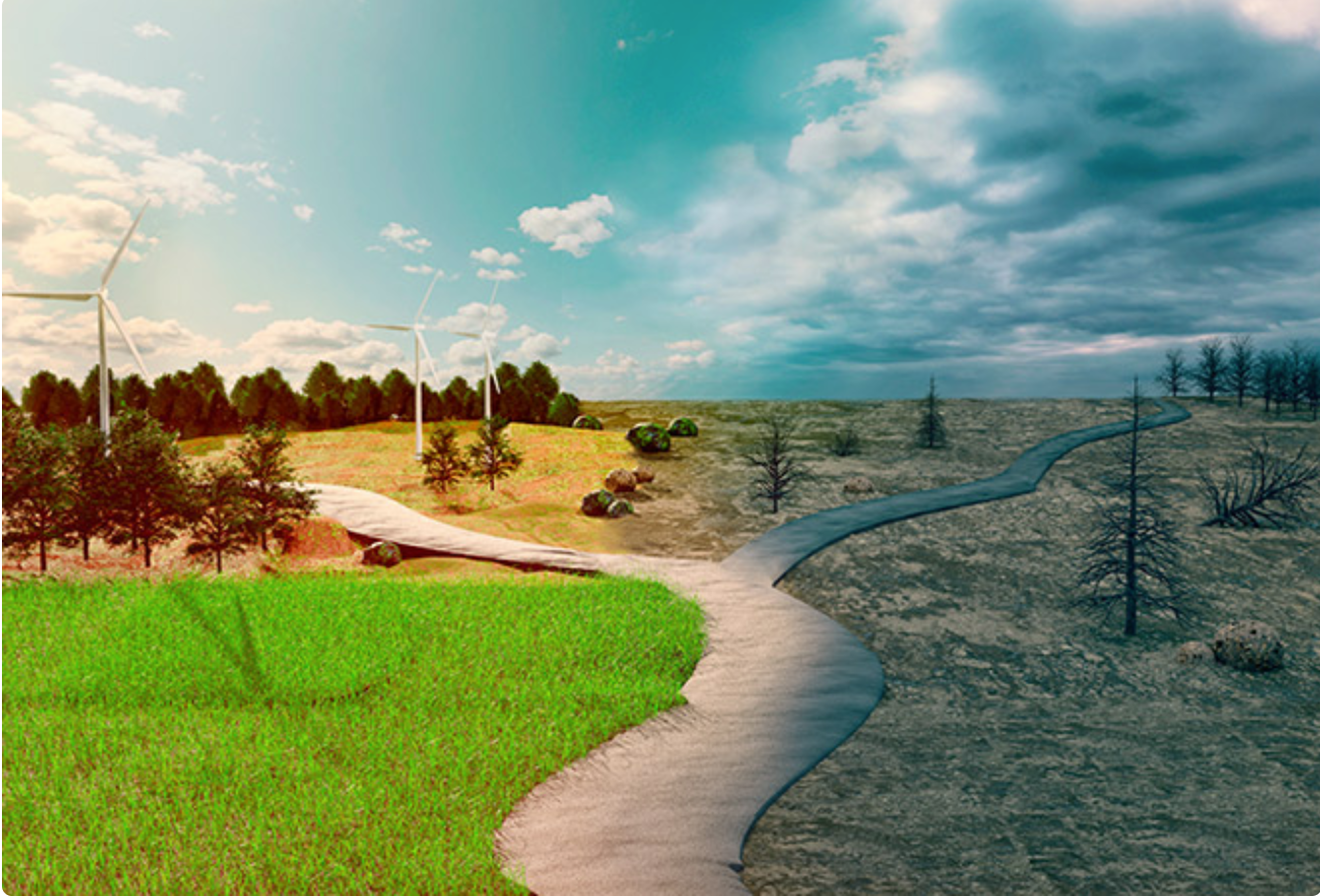 Net-Zero: India’s opportunity to play its ace